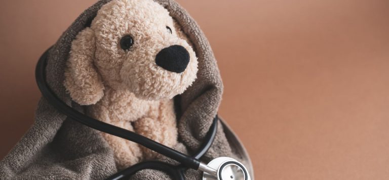 A stuffed dog plushie wrapped in a grey blanket with a stethoscope on it.